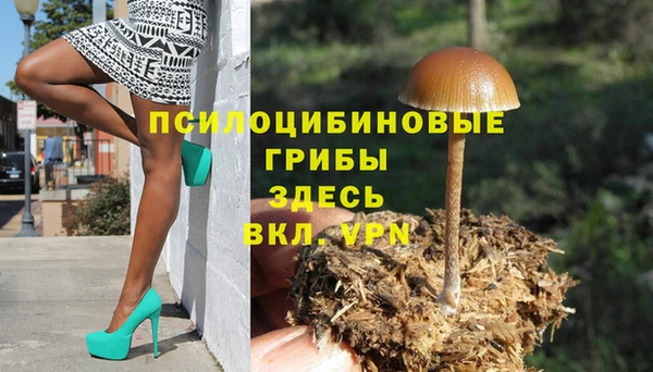 ПСИЛОЦИБИНОВЫЕ ГРИБЫ Беломорск