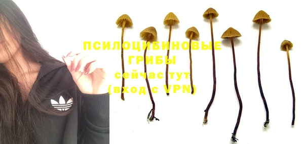 ПСИЛОЦИБИНОВЫЕ ГРИБЫ Беломорск