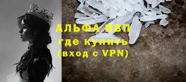 ПСИЛОЦИБИНОВЫЕ ГРИБЫ Беломорск